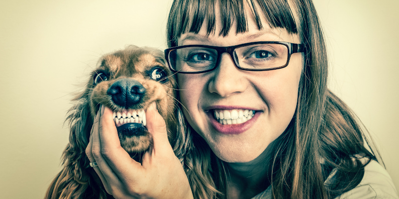 Dog Dental Health in Ontario