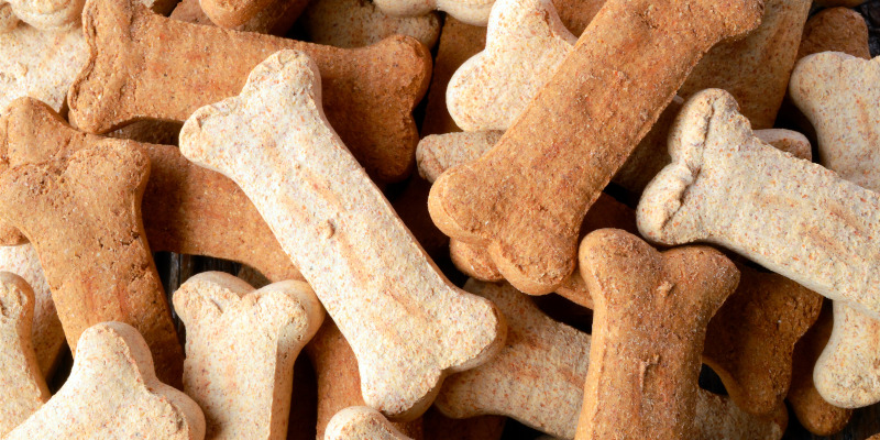 What Should You Look for in Healthy Dog Treats?