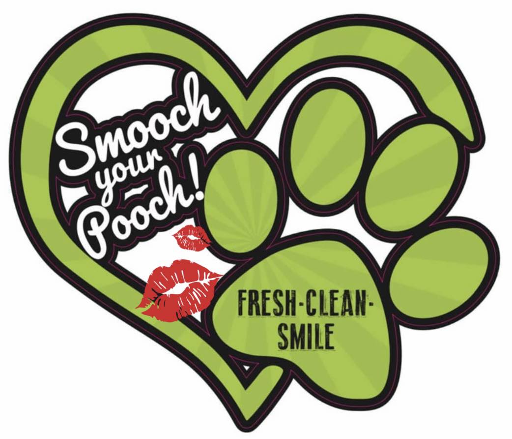 APL Teeth Cleaning & Treats